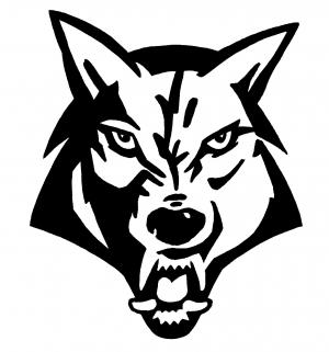 Timberwolf